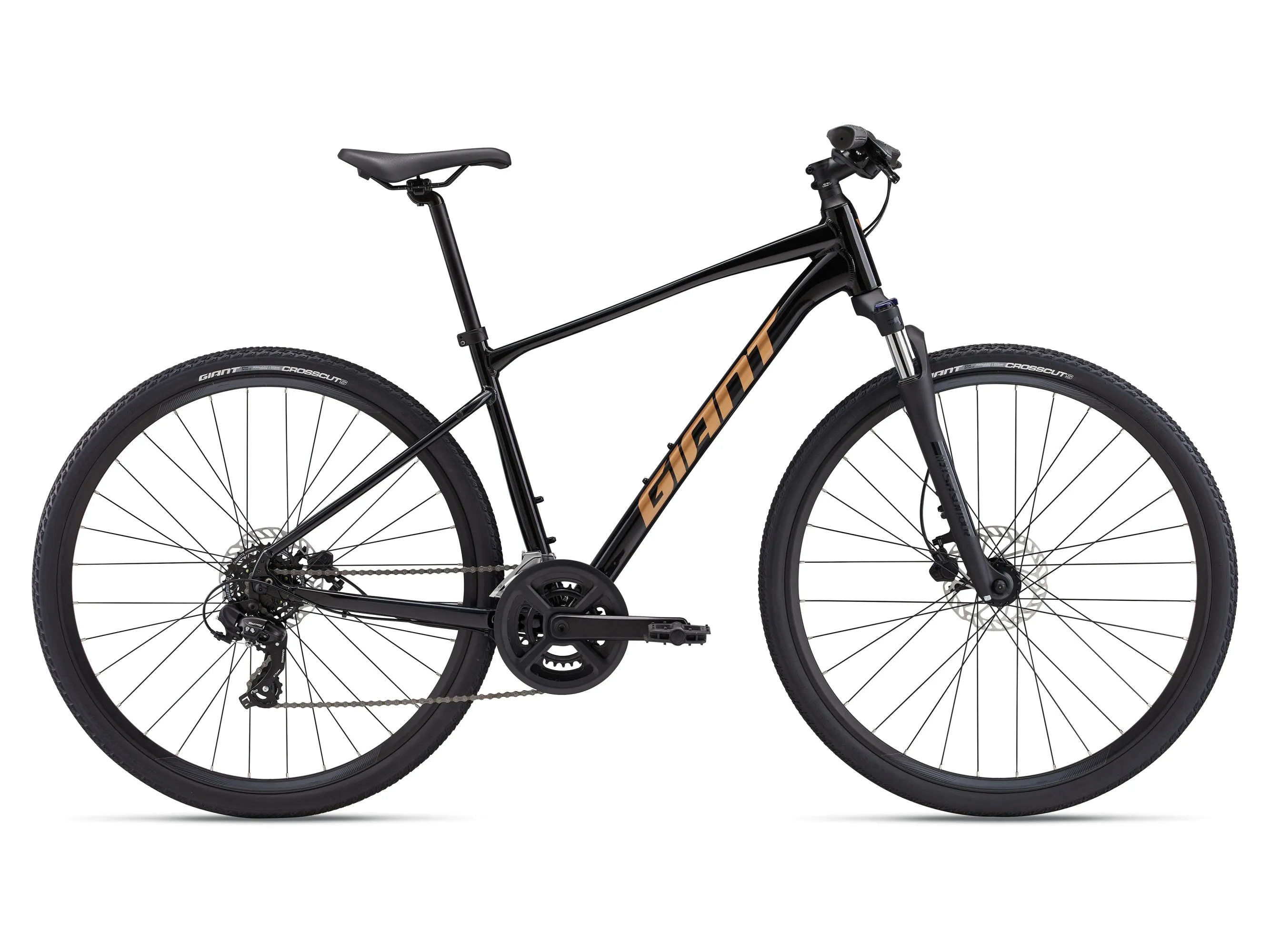 2025 Giant Roam 4