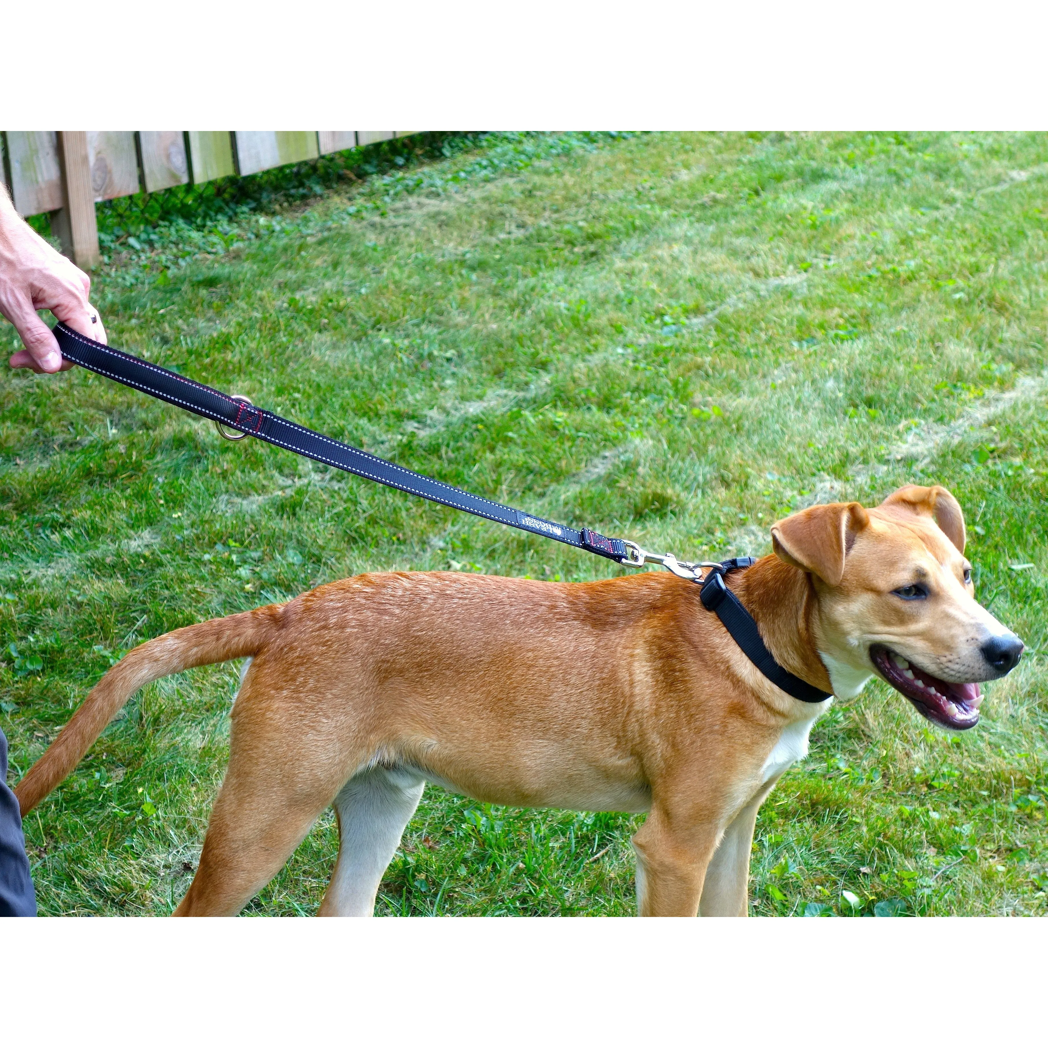 24 Inch Padded Handle Leash with Reflective Webbing and O-Ring
