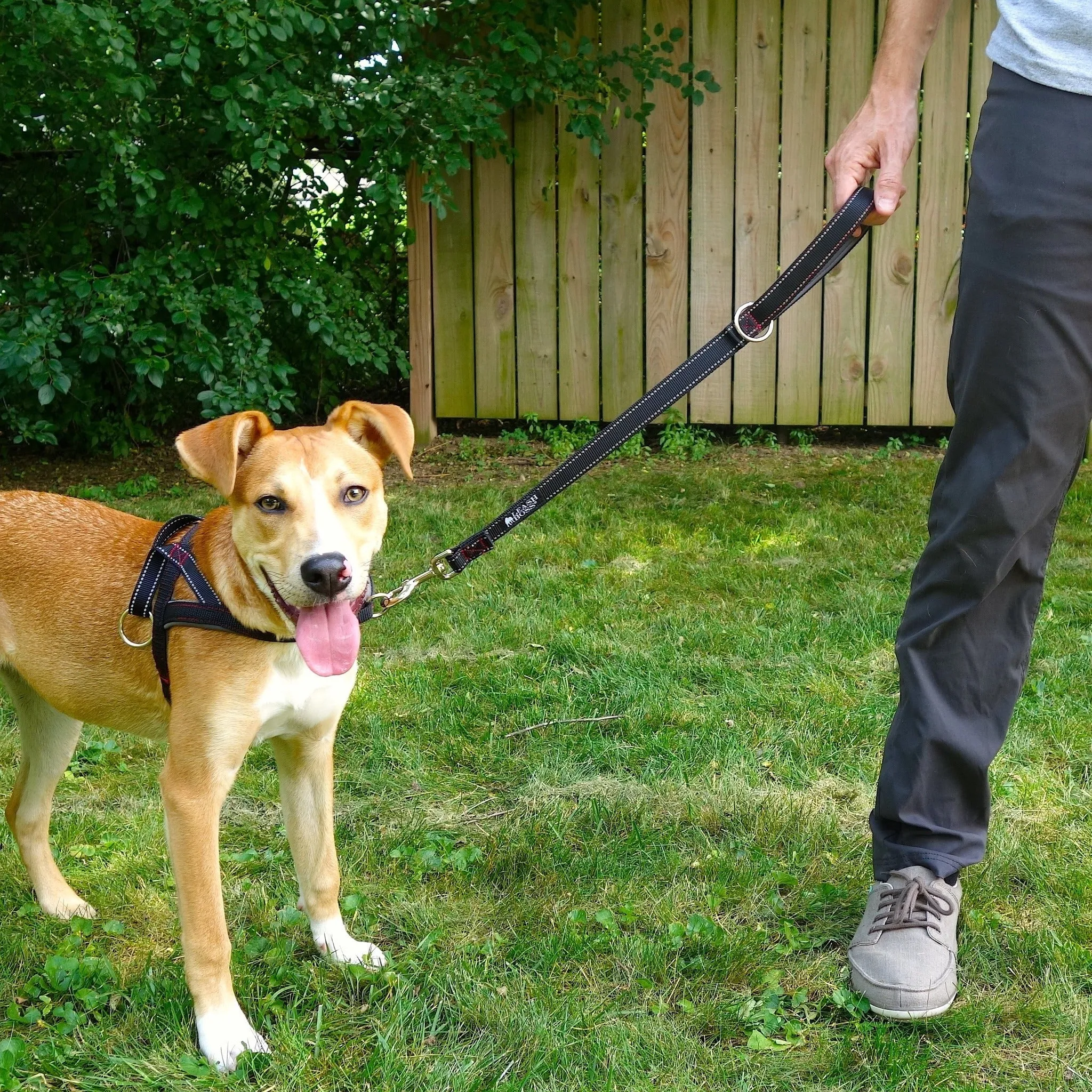 24 Inch Padded Handle Leash with Reflective Webbing and O-Ring