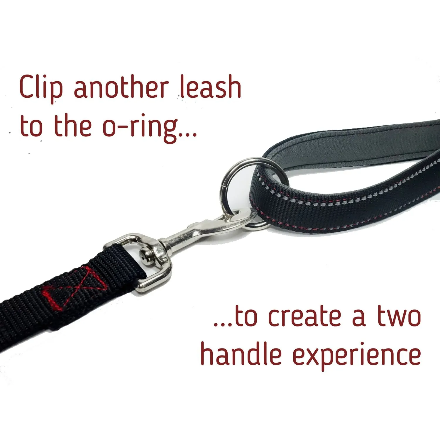24 Inch Padded Handle Leash with Reflective Webbing and O-Ring