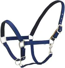 Centaur, Cushion Breakaway Halter