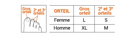 Protections pour Ongles Bleus