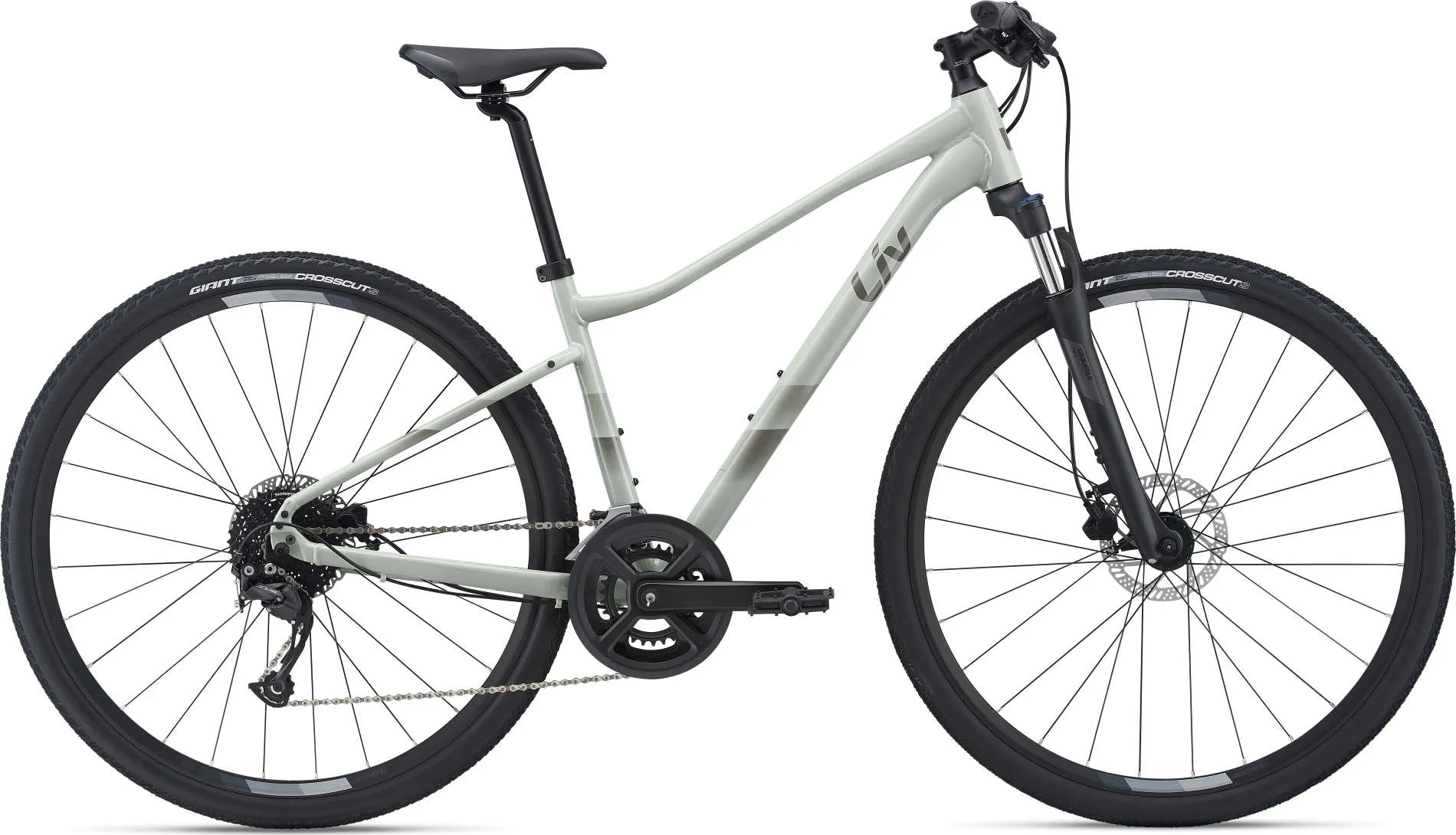 Rove 2 Disc (Women's) - Past Season