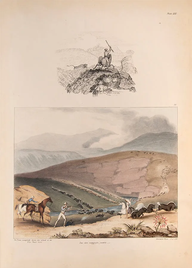 South African sketches: