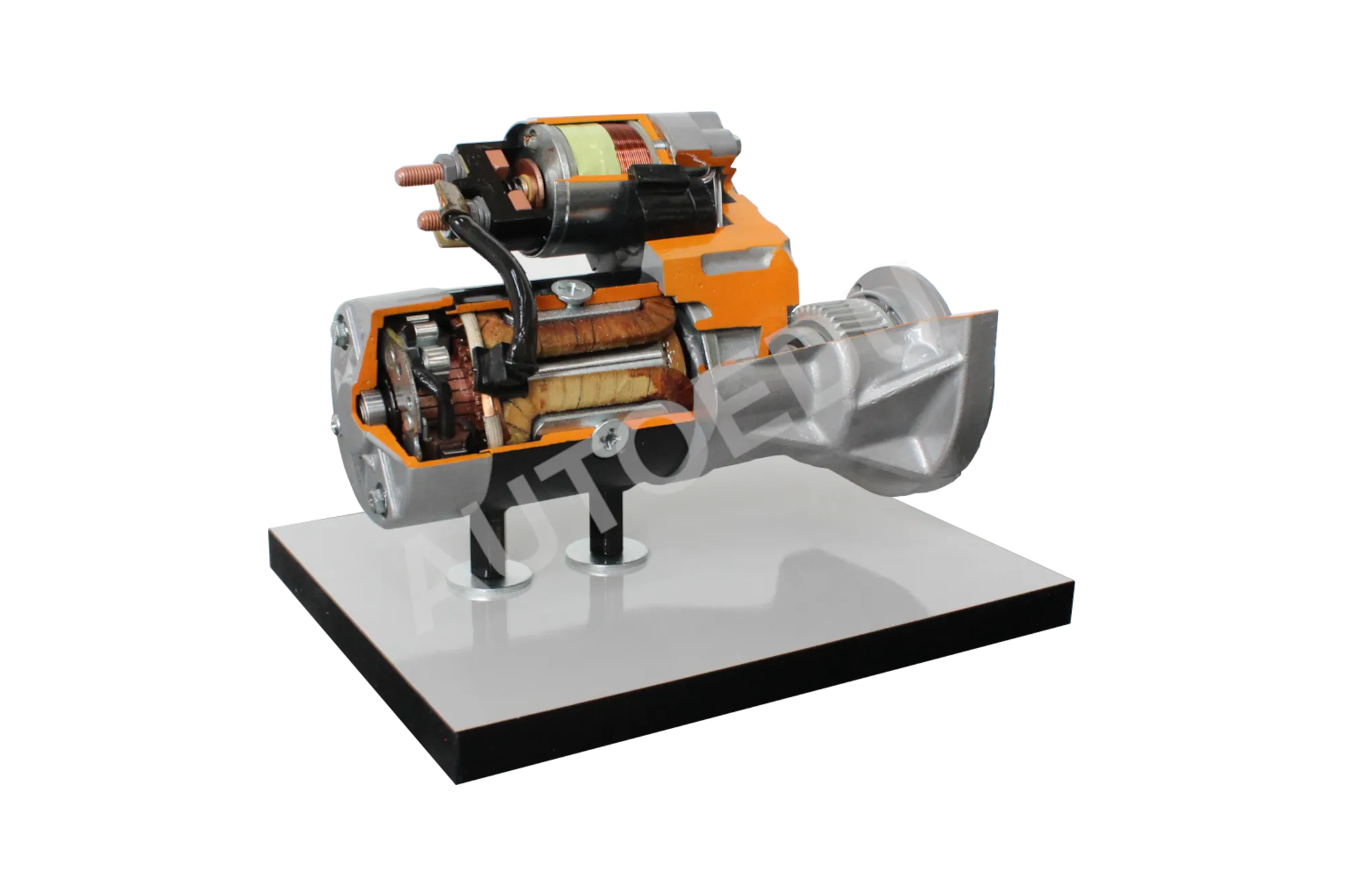 Starter motor with reduction gears cutaway Educational Trainer AE410071M AutoEDU