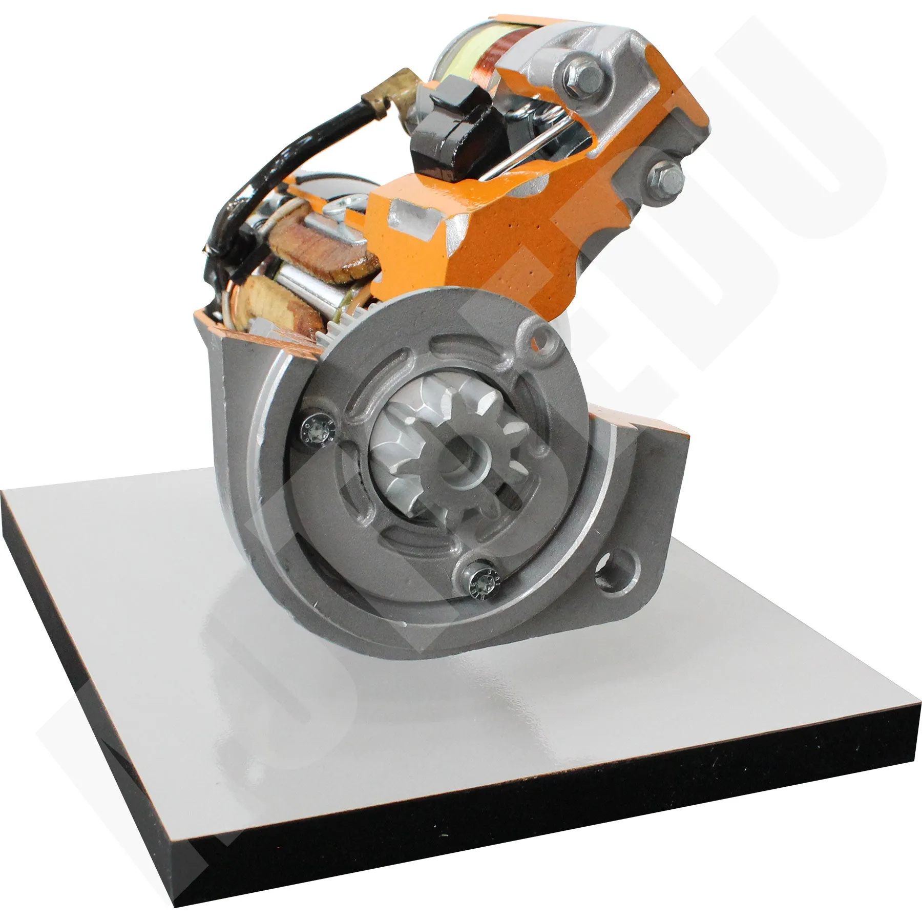Starter motor with reduction gears cutaway Educational Trainer AE410071M AutoEDU