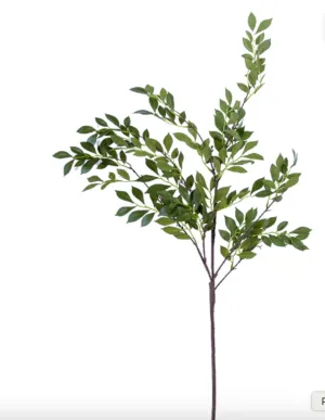 Winter Jasmine Spray