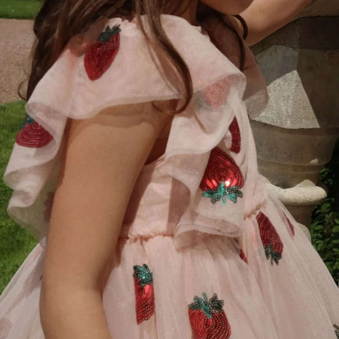 Yvonne Sequin Strawberry Print Tulle Party Dress